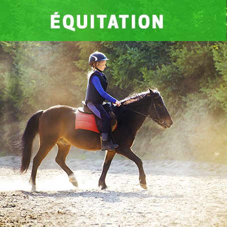 EQUITATION